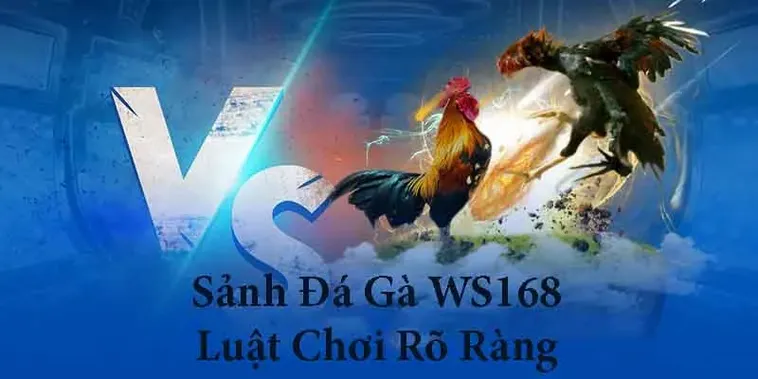Hướng Dẫn Cách Chơi Đá Gà WS168 Tại 6623 Đỉnh Cao Giải Trí Cá Cược 2 Hướng Dẫn Cách Chơi Đá Gà WS168 Tại 6623 Đỉnh Cao Giải Trí Cá Cược