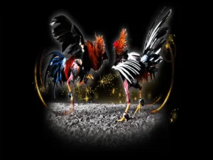 Cách Chơi Đá Gà Sabong Tại 6623 Đỉnh Cao Kịch Tính 2025