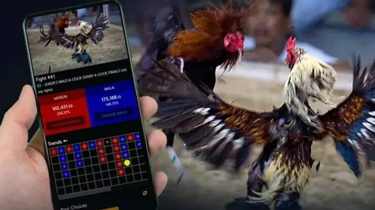 Đá Gà 6623 Thu Hút Hàng Triệu Người Chơi Năm 2025