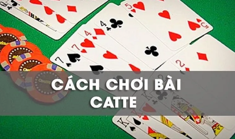 Cách Chơi Sắc Tê 6623 Hiệu Quả Cho Người Mới Bắt Đầu